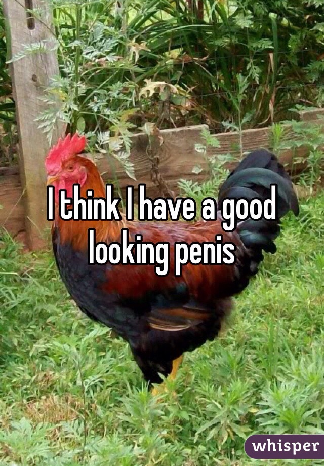 I think I have a good looking penis