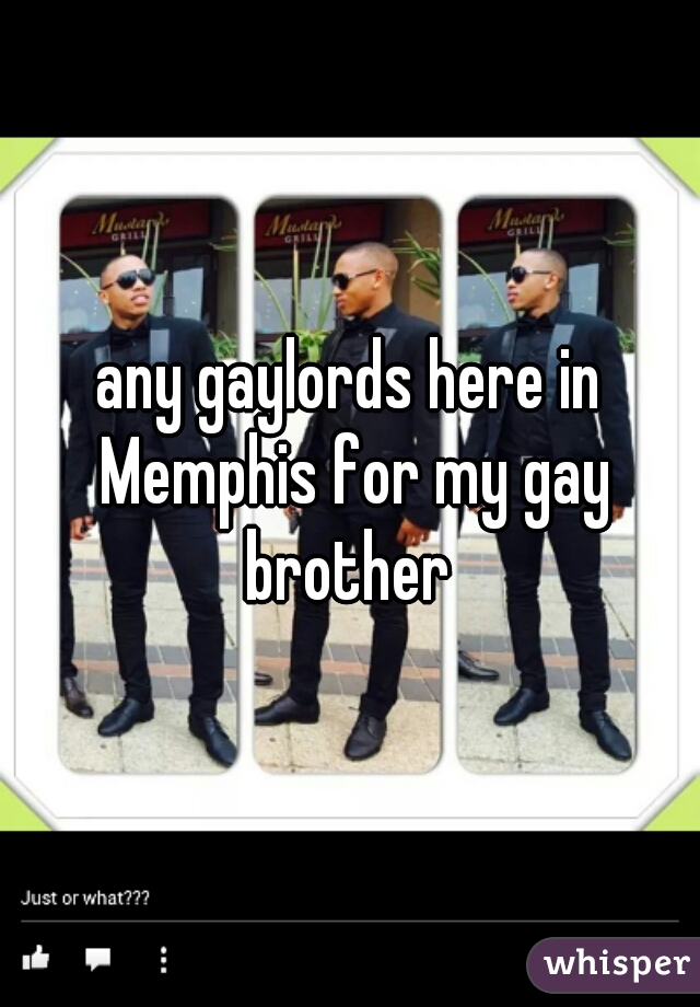 any gaylords here in Memphis for my gay brother 