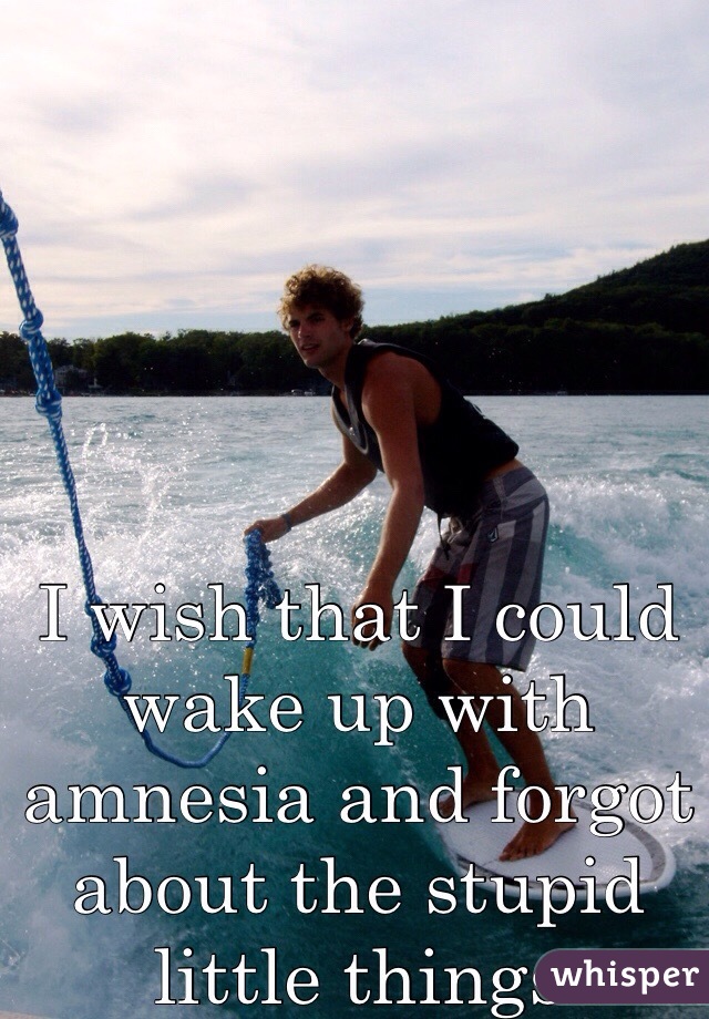 I wish that I could wake up with amnesia and forgot about the stupid little things