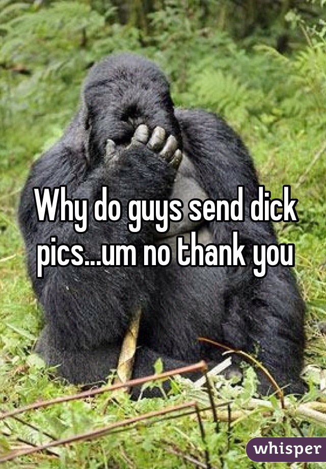 Why do guys send dick pics...um no thank you