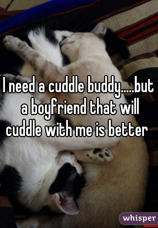 I need a cuddle buddy.....but a boyfriend that will cuddle with me is better  