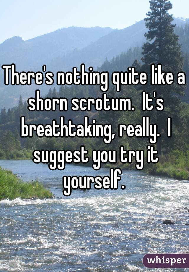 There's nothing quite like a shorn scrotum.  It's breathtaking, really.  I suggest you try it yourself. 