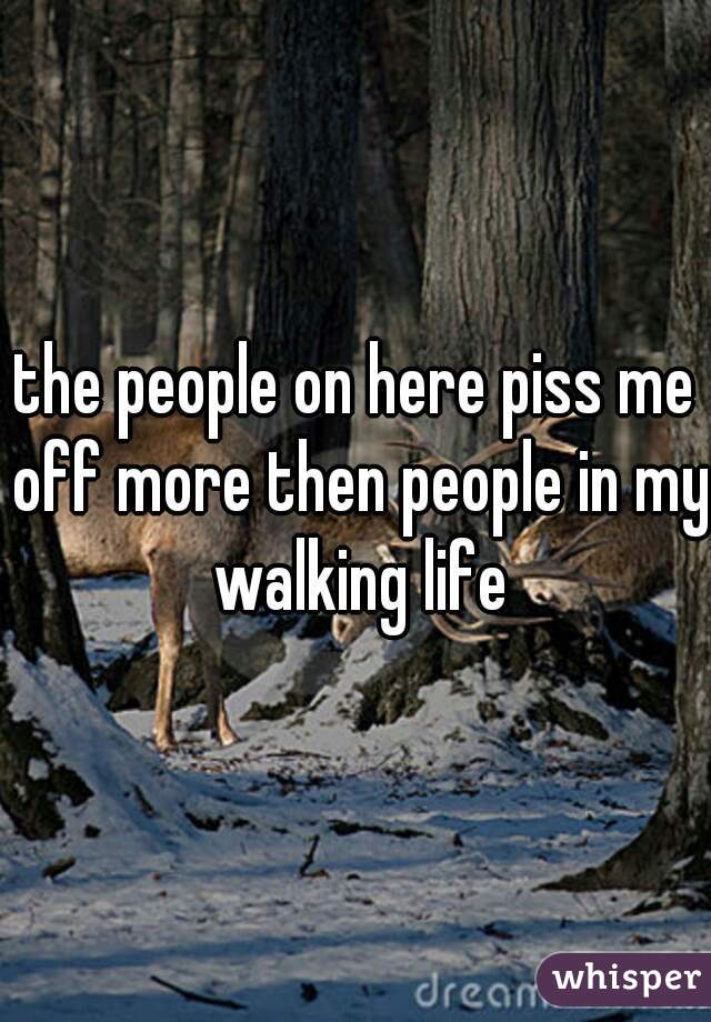 the people on here piss me off more then people in my walking life