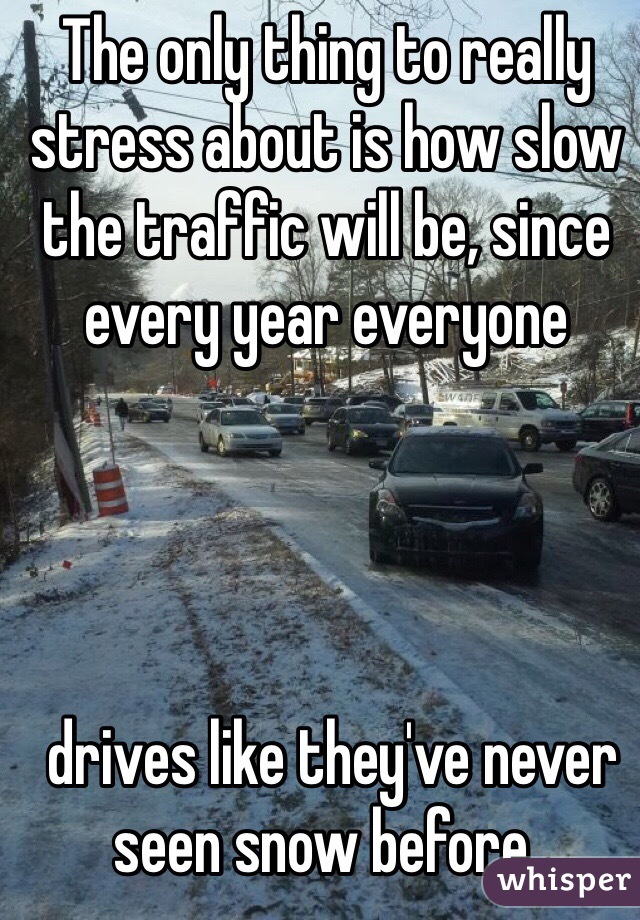 The only thing to really stress about is how slow the traffic will be, since every year everyone




 drives like they've never seen snow before. 