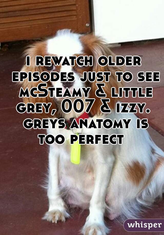 i rewatch older episodes just to see mcSteamy & little grey, 007 & izzy.  greys anatomy is too perfect  