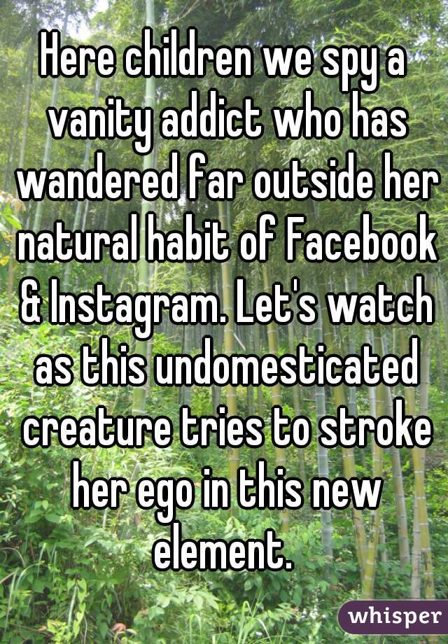 Here children we spy a vanity addict who has wandered far outside her natural habit of Facebook & Instagram. Let's watch as this undomesticated creature tries to stroke her ego in this new element. 