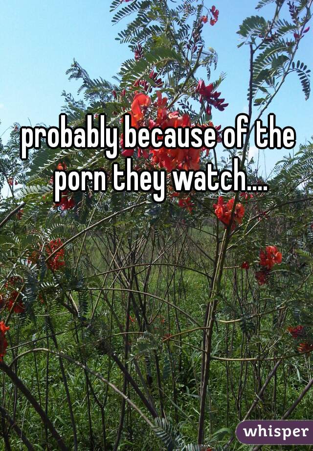 probably because of the porn they watch....