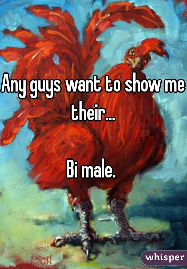 Any guys want to show me their... 

Bi male. 