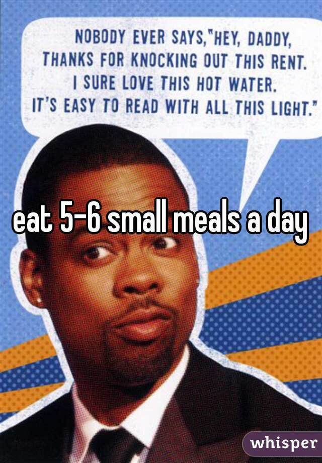 eat 5-6 small meals a day