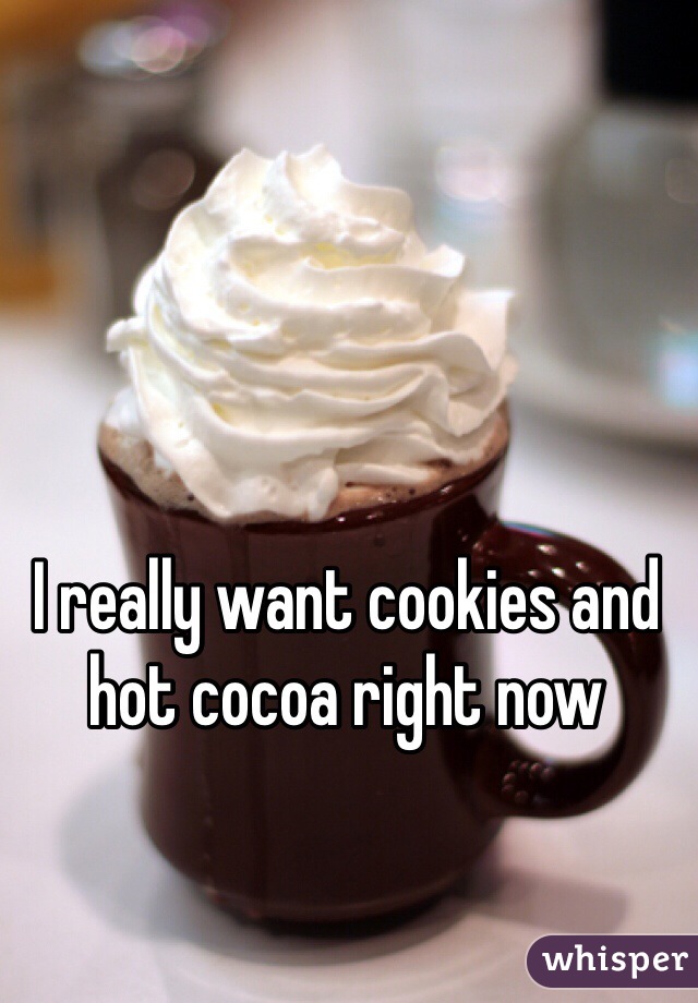 I really want cookies and hot cocoa right now 