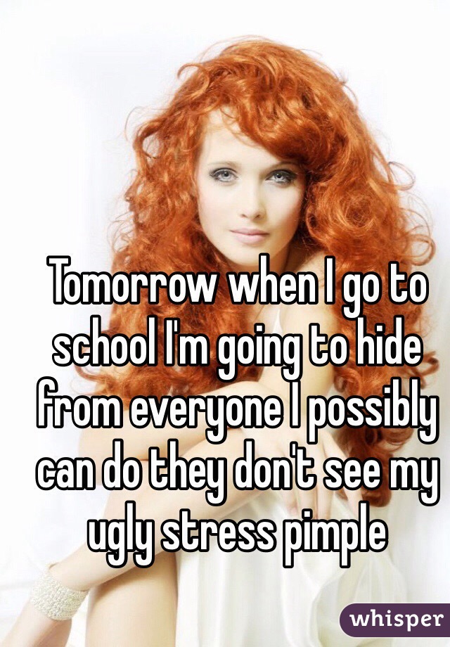 Tomorrow when I go to school I'm going to hide from everyone I possibly can do they don't see my ugly stress pimple