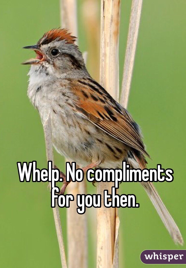 Whelp. No compliments for you then. 