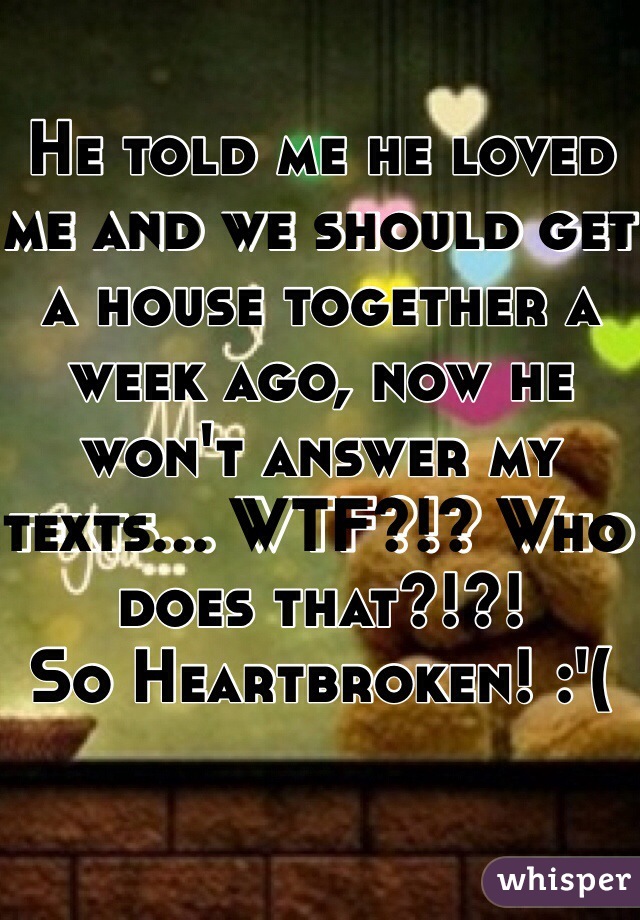 He told me he loved me and we should get a house together a week ago, now he won't answer my texts... WTF?!? Who does that?!?! 
So Heartbroken! :'(