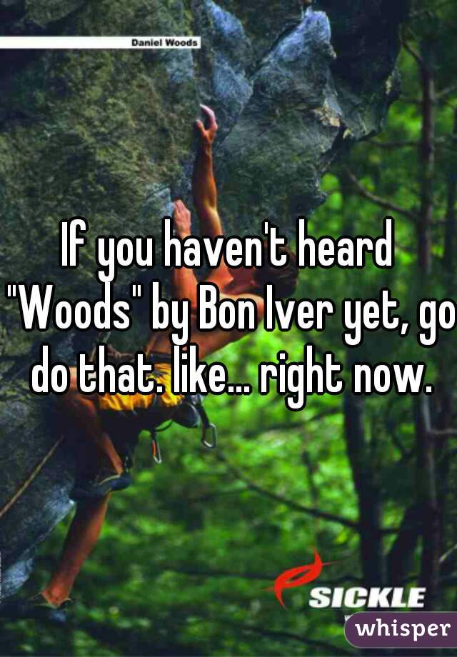 If you haven't heard "Woods" by Bon Iver yet, go do that. like... right now.