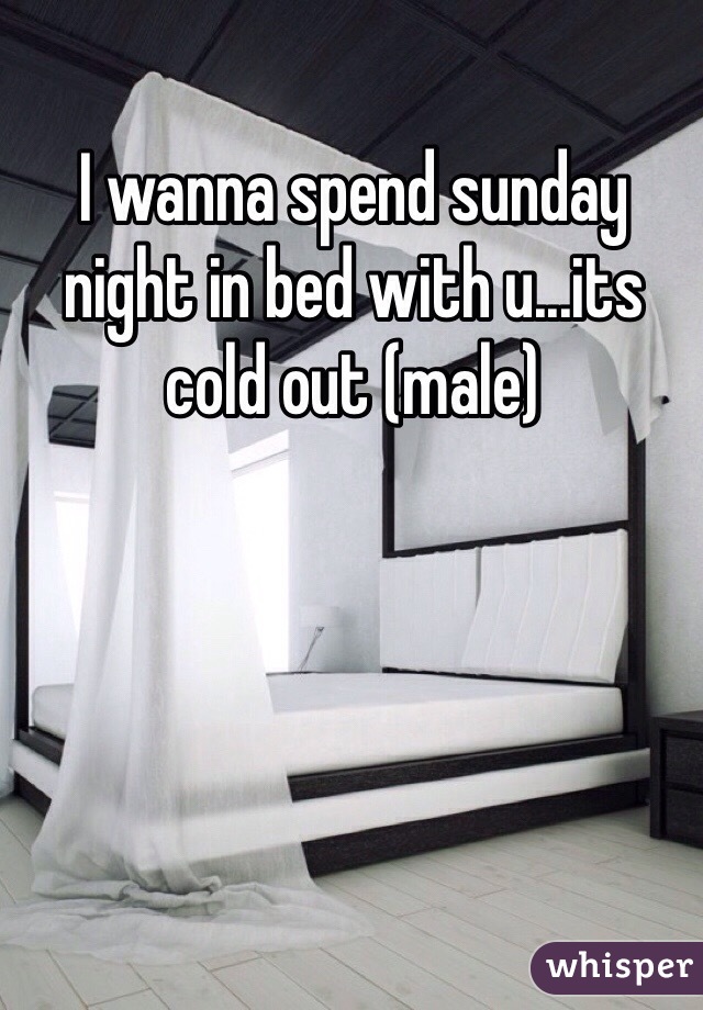 I wanna spend sunday night in bed with u...its cold out (male)