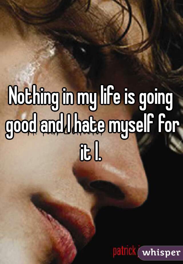 Nothing in my life is going good and I hate myself for it l. 