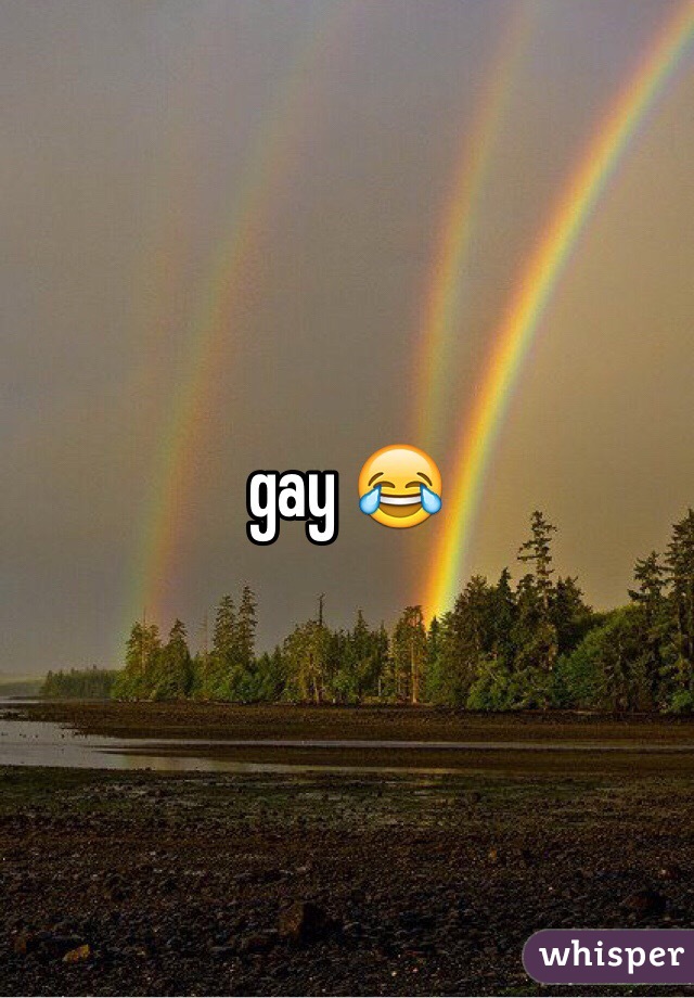 gay 😂