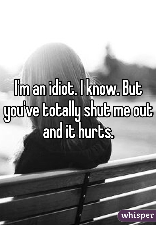 I'm an idiot. I know. But you've totally shut me out and it hurts. 