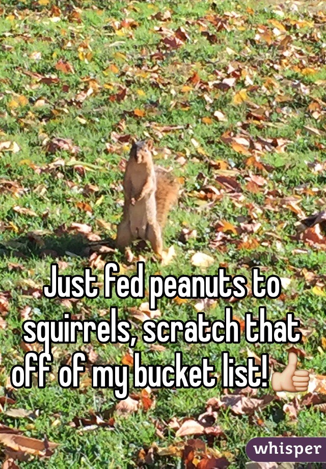 Just fed peanuts to squirrels, scratch that off of my bucket list!👍