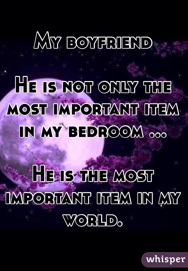 My boyfriend 

He is not only the most important item in my bedroom ...

He is the most important item in my world.