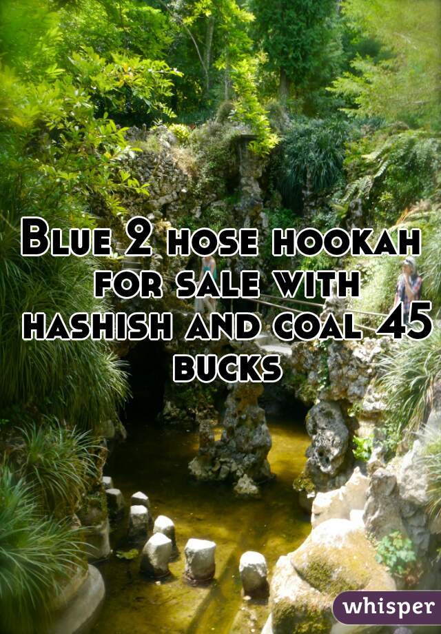 Blue 2 hose hookah for sale with hashish and coal 45 bucks