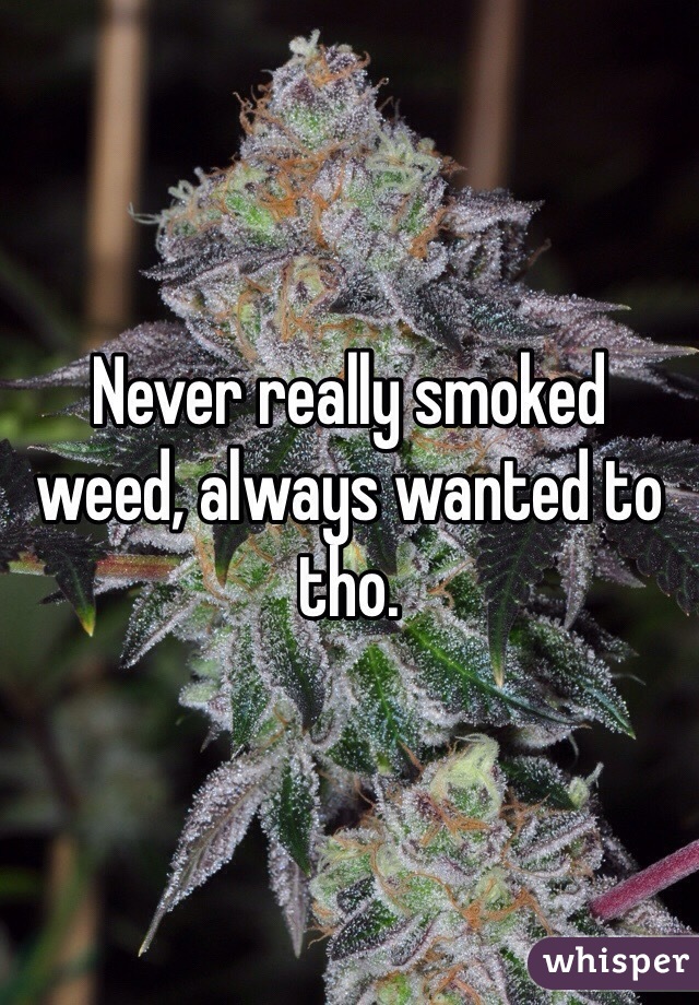 Never really smoked weed, always wanted to tho.