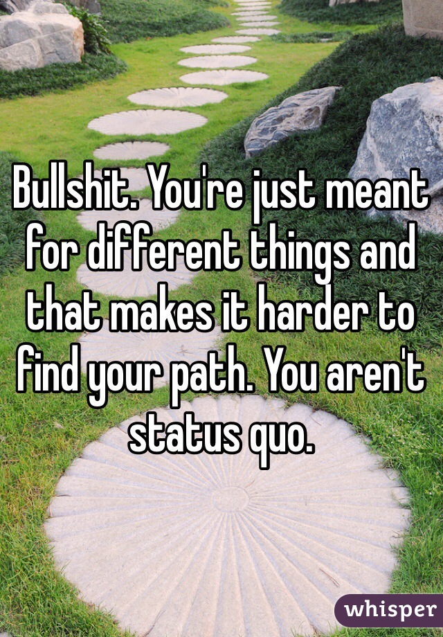 Bullshit. You're just meant for different things and that makes it harder to find your path. You aren't status quo. 