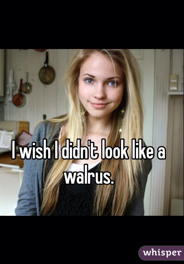 I wish I didn't look like a walrus. 