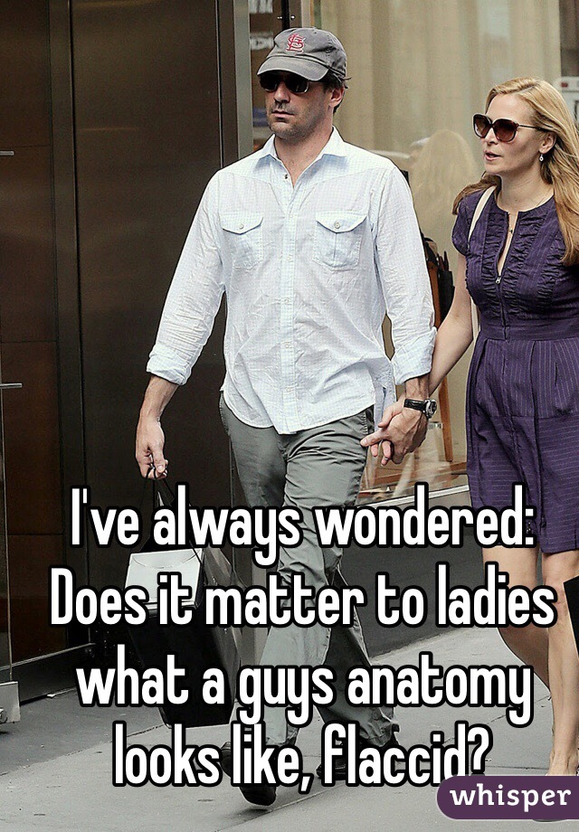 I've always wondered:
Does it matter to ladies what a guys anatomy looks like, flaccid?