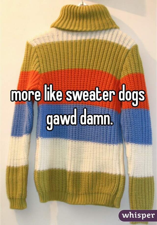 more like sweater dogs gawd damn.