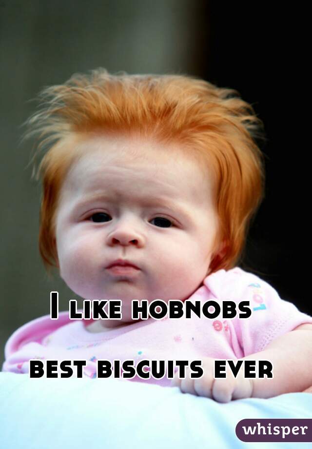 I like hobnobs

best biscuits ever