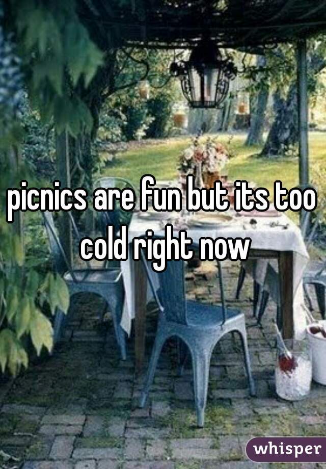 picnics are fun but its too cold right now