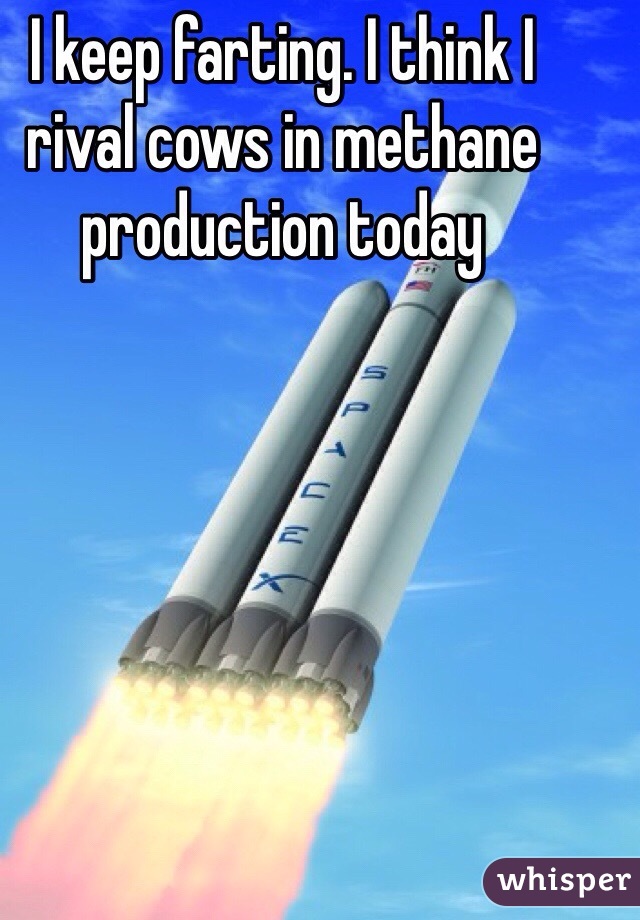 I keep farting. I think I rival cows in methane production today