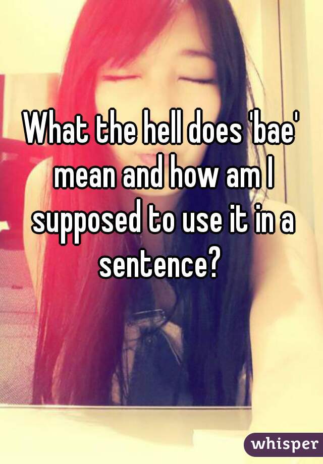 What the hell does 'bae' mean and how am I supposed to use it in a sentence? 