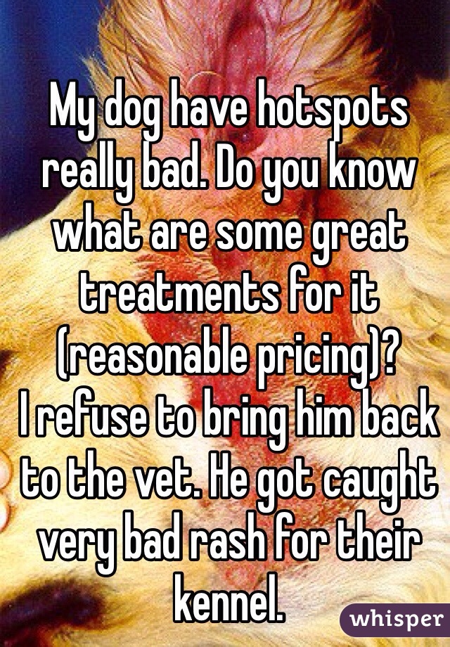 My dog have hotspots really bad. Do you know what are some great treatments for it (reasonable pricing)? 
I refuse to bring him back to the vet. He got caught very bad rash for their kennel. 