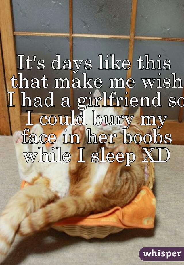 It's days like this that make me wish I had a girlfriend so I could bury my face in her boobs while I sleep XD
