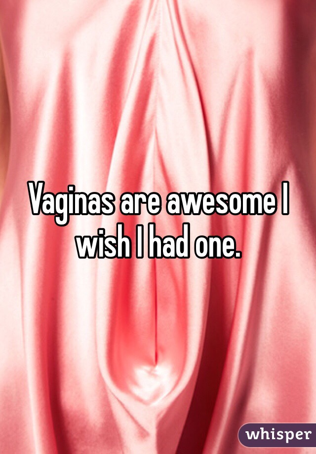 Vaginas are awesome I wish I had one.