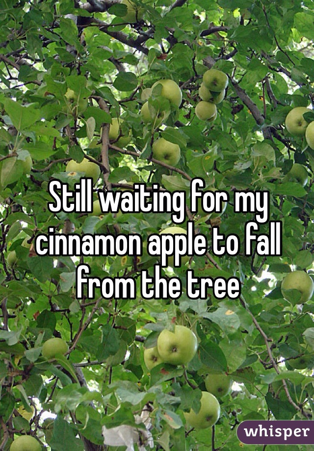 Still waiting for my cinnamon apple to fall from the tree