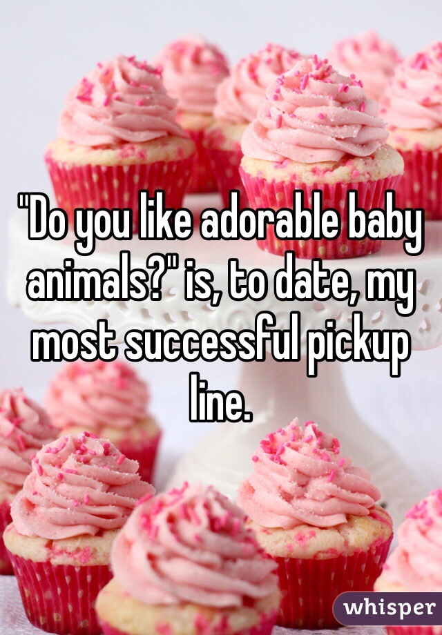 "Do you like adorable baby animals?" is, to date, my most successful pickup line.