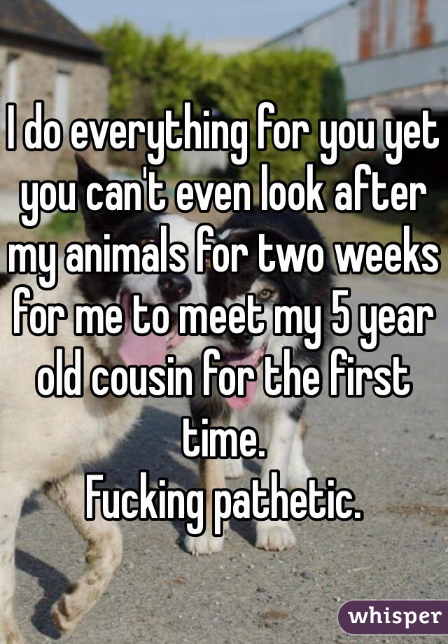 I do everything for you yet you can't even look after my animals for two weeks for me to meet my 5 year old cousin for the first time. 
Fucking pathetic.