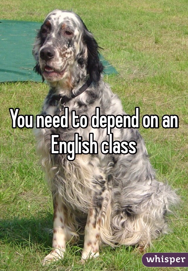 You need to depend on an English class 