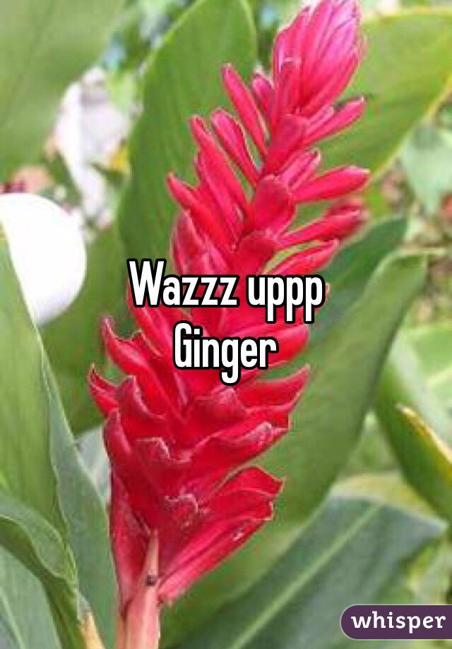 Wazzz uppp
Ginger 
