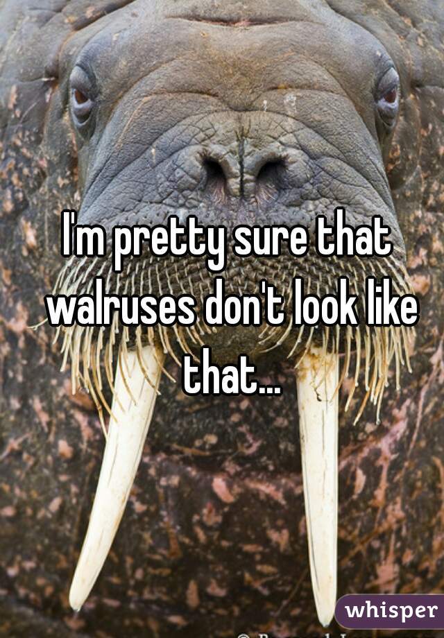 I'm pretty sure that walruses don't look like that...