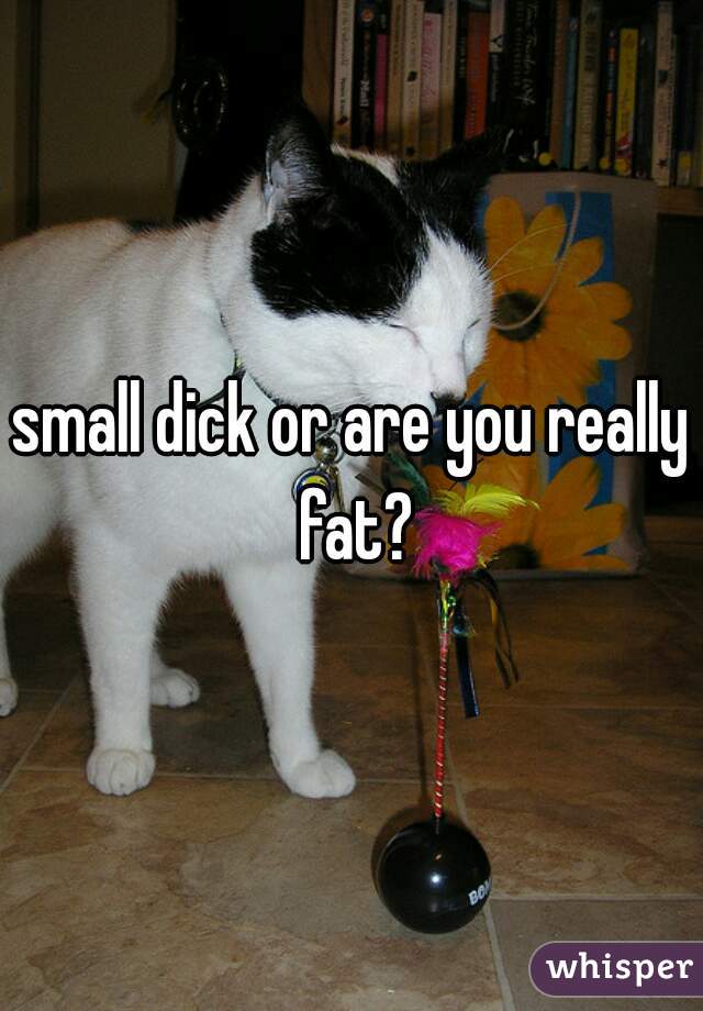 small dick or are you really fat?