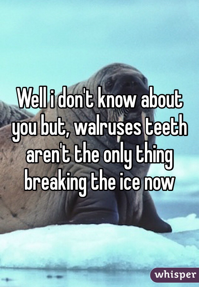 Well i don't know about you but, walruses teeth aren't the only thing breaking the ice now