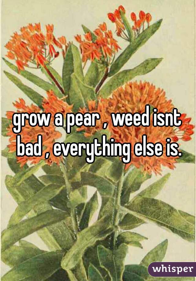 grow a pear , weed isnt bad , everything else is.

