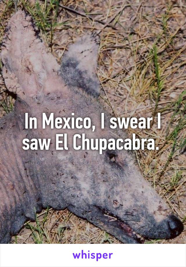 In Mexico, I swear I saw El Chupacabra. 