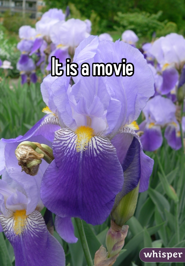 It is a movie