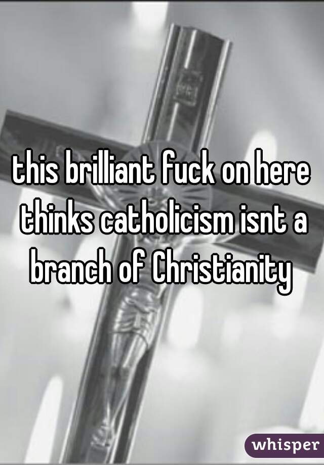 this brilliant fuck on here thinks catholicism isnt a branch of Christianity 