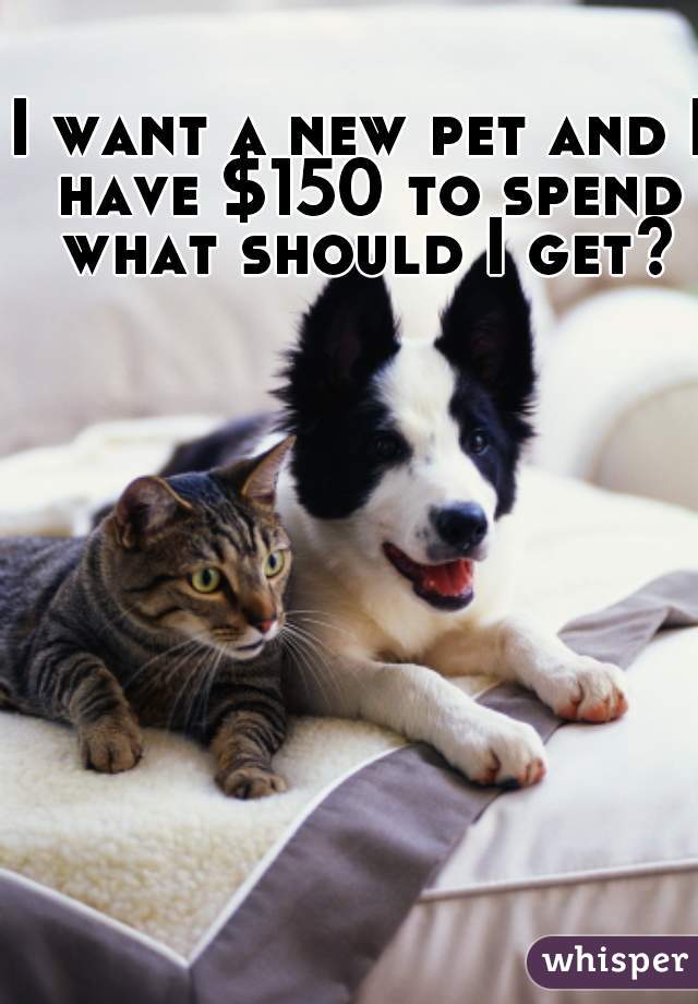 I want a new pet and I have $150 to spend what should I get?